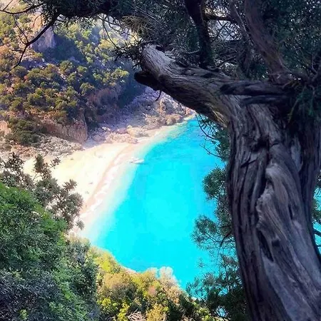 בית נופש Capri 53 ארבאטקס