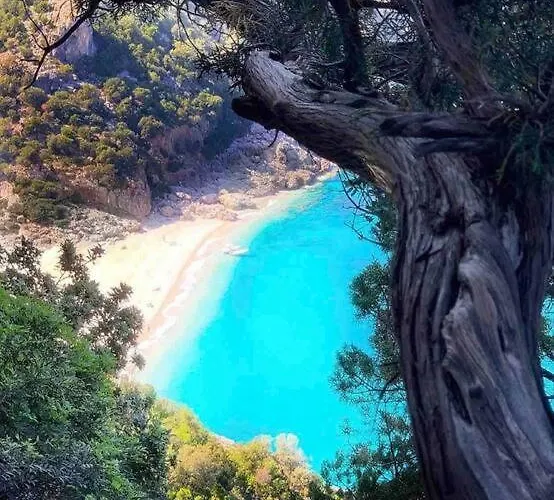 Dom wakacyjny Capri 53 Àrbatax